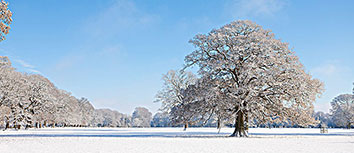蓝色风暴席卷亚平宁？尤文图斯连败警钟敲响，昔日霸主何去何从？