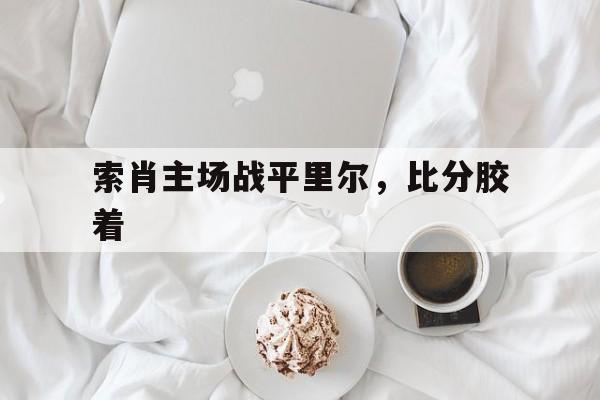 爱游戏在线-索肖主场战平里尔，比分胶着的简单介绍